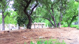 delhi city news, Delhi Cantonment forest department work, Dhaula Kuan forest department work, army delhi forest department work