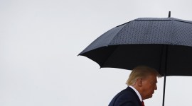 US Presidential Elections 2020 LIVE news updates: Key advantage in battleground states could re-elect Trump, says son