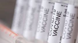 russia vaccine, russia covid vaccine, coronavirus, coronavirus vaccine, corona vaccine, coronavirus vaccine update, covid 19, covid 19 vaccine, covid 19 vaccine update, covid 19 vaccine latest news, coronavirus vaccine latest update, coronavirus vaccine covaxin, covid 19 vaccine covaxin, covaxin vaccine, oxford vaccine, oxford covid 19 vaccine, oxford coronavirus vaccine, moderna, moderna coronavirus vaccine