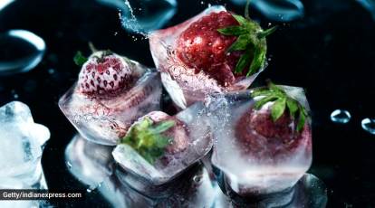 HOLIDAY ICE CUBES  Healthy Foodie Girl