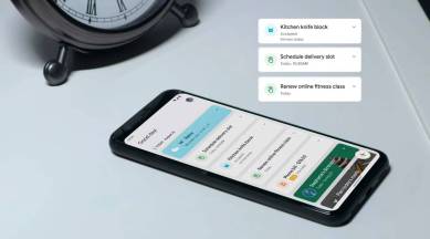 google snapshot, google assistant snapshot, google snapshot update, google snapshot cards, google snapshot languages, google snapshot features, how to use google snapshot
