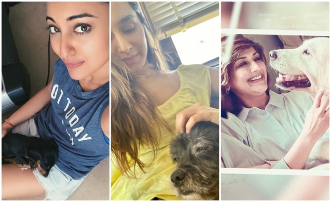 International Dog Day, Sonakshi Sinha, Shraddha Kapoor, Sonali Bendre