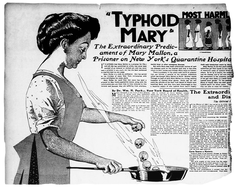 typhoid mary, who is typhoid mary, typhoid mary punjab police, tale of typhoid mary, indian express