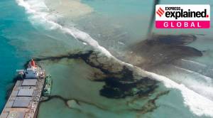 Explained: How severe was the Mauritius oil spill?