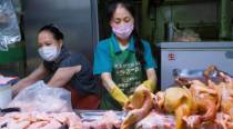WHO downplays danger of coronavirus latching on to food packaging