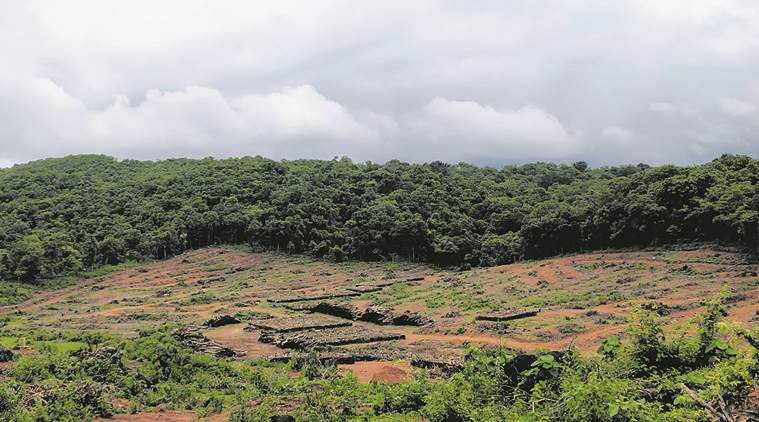 goa forest, Mollam forest stretch, goa raipur power line, Mollam news, goa news, indian express