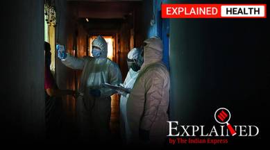 coronavirus, covid 19, coronavirus update, coronavirus immune system, covid severity risk, indian express