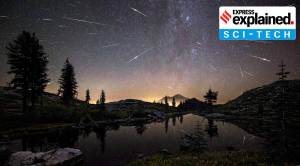 Explained: The Perseids meteor shower, set to peak in mid-August