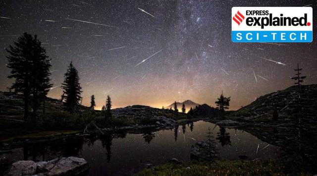 The Perseids meteor shower peaks every year in mid-August. It was first observed over 2,000 years ago. Image: NASA