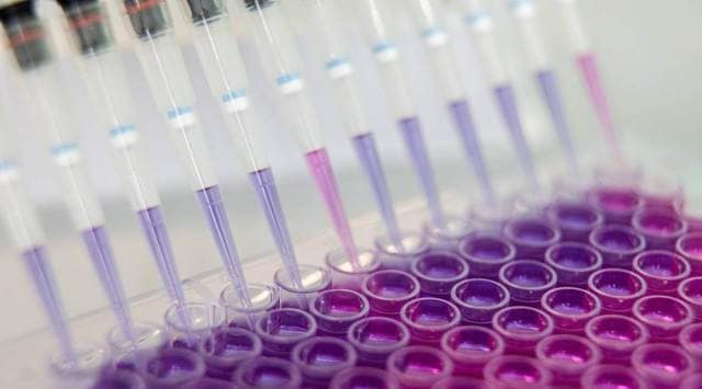 In India, sources said, Pfizer does not have any agreement with the government “as of now” or identified any manufacturing facility. (File)