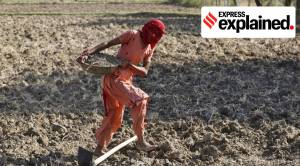 Explained: Why organic matter in soil is crucial for a state like Punjab