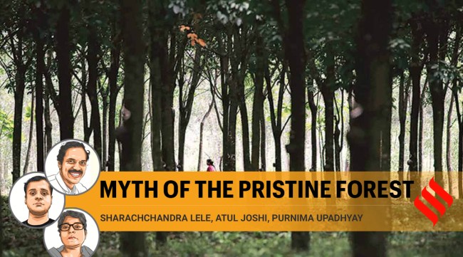 Co-existence is indeed possible. (File Photo)