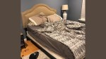 find the dog photo, find the dog challenge, viral puzzle, viral spot the animal, find the beagle, Viral pet puzzle, Viral find the beagle puzzle, pet puzzle, find the pet, find hidden pet, find hidden dog, photo, optical illusion, Viral pet puzzle, dog hiding places, Indian Express news