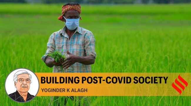 More than a million farmers have moved to Census towns in most states. (File)