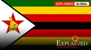 Explained: Why are people using #ZimbabweanRightsMatter in an online campaign?