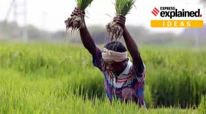 Explained Ideas: What ails with the Agriculture Infrastructure Fund?