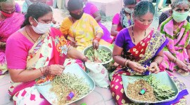 maharashtra coronavirus, solapur covid cases, solapur covid deaths, solapur bedi workers covid deaths, solapur bidi workers settlement covid, Indian express news