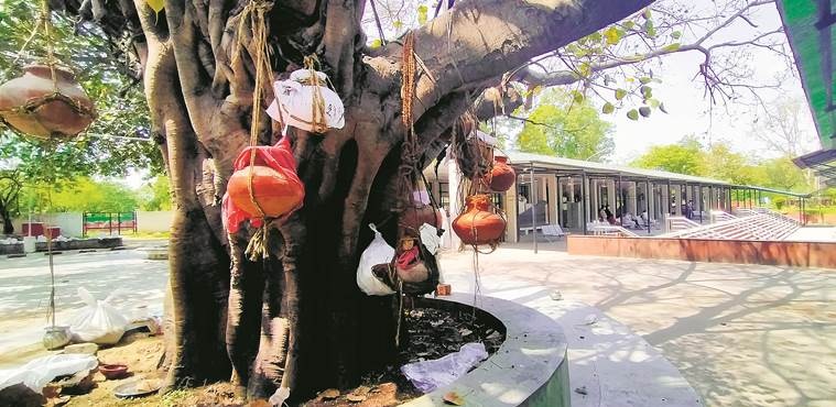 COVID-19 pandemic, mourning, processing grief during COVID-19 pandemic, eye 2020, sunday eye, indian express news