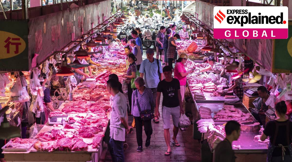 china, china food shortage, china food campaign, xi jinping, xi jinping food shortage campaign, china coronavirus, indian express