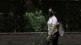 ugc net, ugc net admit card, ugc net 2020, ugc net admit card 2020, ugc net 2020 admit card, nta ugc net admit card, nta ugc net admit card 2020, ugc net exam date, ugc net exam 2020 news, ugc net exam, net exam, net exam 2020, nta ugc net 2020 news, ugcnet.nta.nic.in, ugcnet.nta.nic.in admit card, net admit card