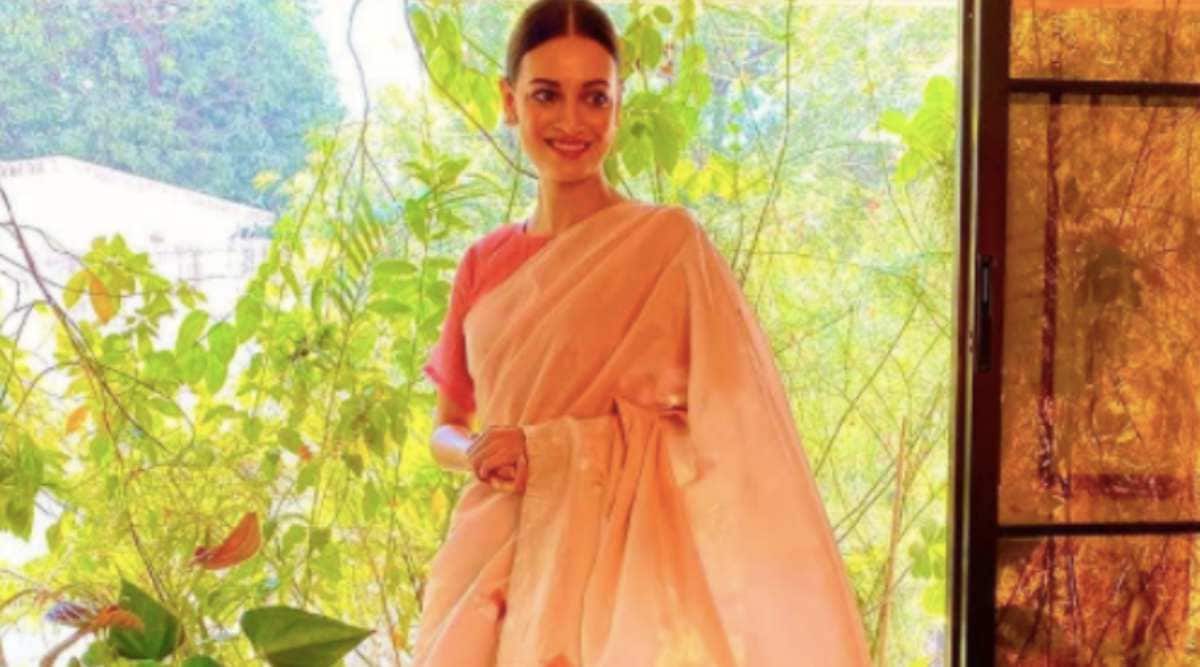dia mirza, dia mirza photos, dia mirza sari photos, dia mirza sari photos, indian express, indian express news