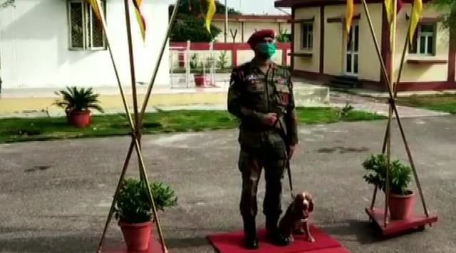dogs awarded military medals, indie dogs, PM modi mann ki baat, PM modi dogs, indian bred dogs, trending, indian express, indian express news