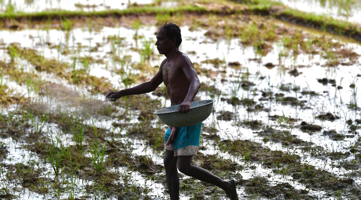 madhya pradesh, madhya pradesh crop insurance, crop insurance, shivraj singh chouhan, indian express