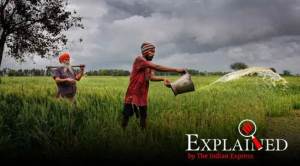 Explained: In farm promise, some concerns