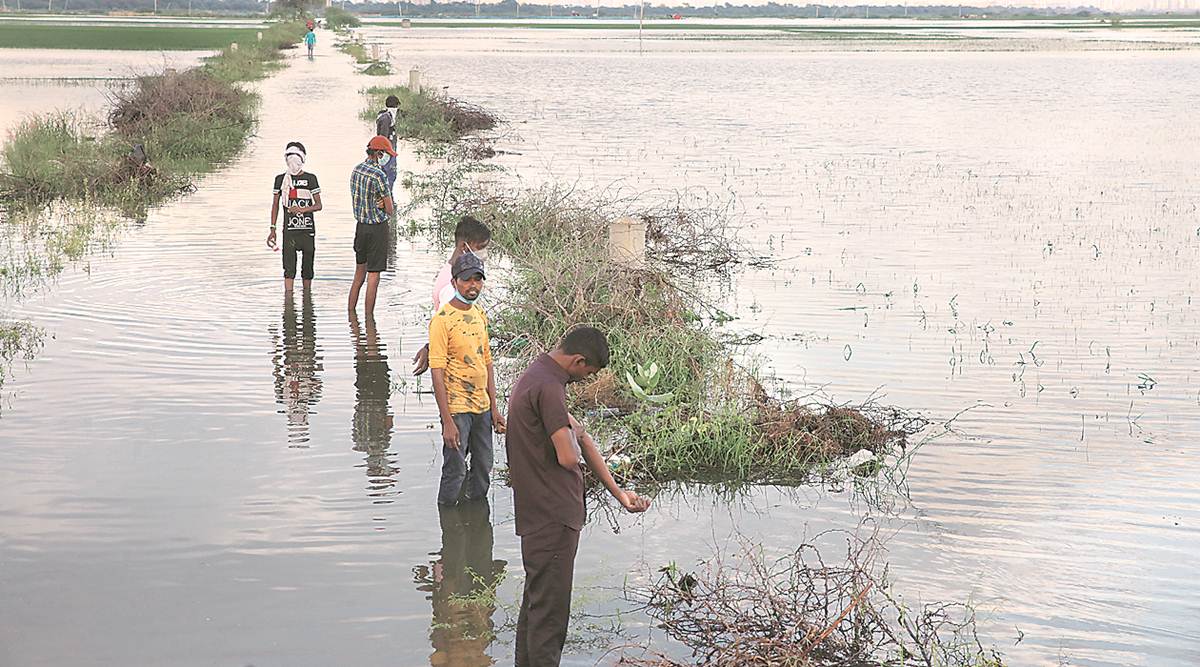 At Rawta Village in Southwest Delhi; (below) The Indian Express report dated August 24. (Express photo by Abhinav Saha)