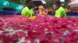 mumbai coronavirus latest updates, mumbai covid hospitals, mumbai covid private hospitals, Ganesh Chaturthi, Ganesh Chaturthi Mumbai, Mumbai Ganesh Chaturthi, mumbai city news