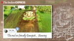 solapur farm ganesh artwork, ganesh chaturthi 2020, ganesh chaturthi 2020 date in india, ganesh chaturthi puja vidhi, ganesh chaturthi puja timing, ganesh chaturthi history, ganesh chaturthi ritual, ganpati festival, ganpati festival 2020 date, ganesh chaturthi 2020 date, vinayaka chaturthi, vinayaka chaturthi 2020, vinayaka chaturthi 2020 date in india, ganesh chaturthi puja timing, ganesh chaturthi puja muhurat, ganesh chaturthi puja time