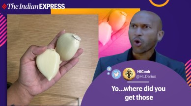 big garlic, elephant garlic, garlic memes, never too much garlic memes, woman shared huge garlic clove photos, viral photos, indian express
