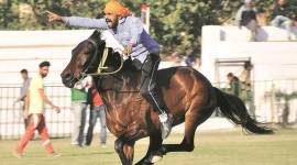 horse riding, schools reopen, Ahmedabad news, Gujarat news, Indian express news