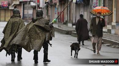 J&K: Drop in law & order incidents but uptick in militant recruitment