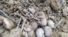 mizoram debris bones no alt set