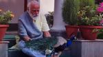 PM Narendra Modi feeds peacock viral video, PM Narendra Modi treding, PM Narendra Modi animal welfare, trending, indian express, indian express news