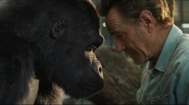 Bryan Cranston, the one and only ivan