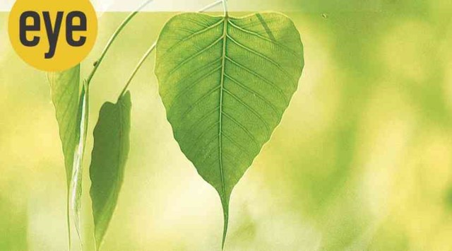 Ranjit Lal, Down in Jungleland, plant rights, sunday eye, eye 2020, indianexpress,