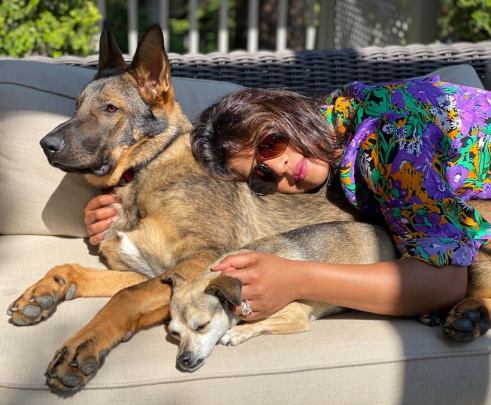 priyanka dog sunshine