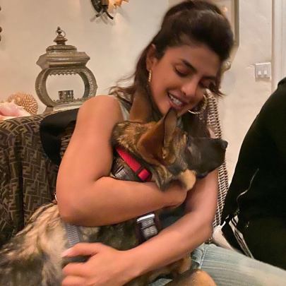 priyanka dog