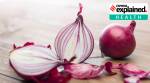 salmonella, salmonella infection, salmonella bacteria infection, onion salmonella, salmonella outbreak, what is salmonella, what is salmonella infection, Salmonellosis, Salmonellosis infection, Salmonellosis onion infection, onion infection, india onion infection
