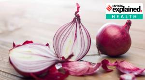 Explained: Why are onions now a cause for concern in the US and Canada?