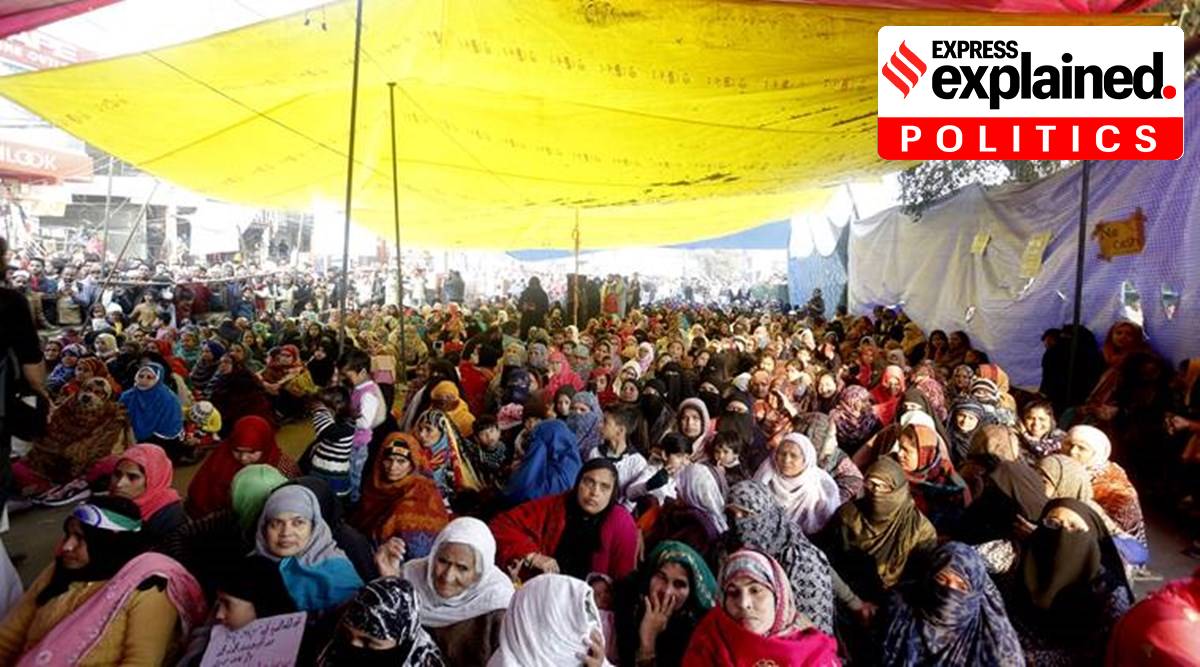 shaheen bagh protests, aam aadmi party bjp shaheen bagh, aap shaheen bagh claim, shaheen bagh citizenship amendment act protests, kejriwal on shaheen bagh,