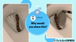 snake, snake in a pot, snake texas viral video, snake toilet viral video, trending, indian express, indian express news