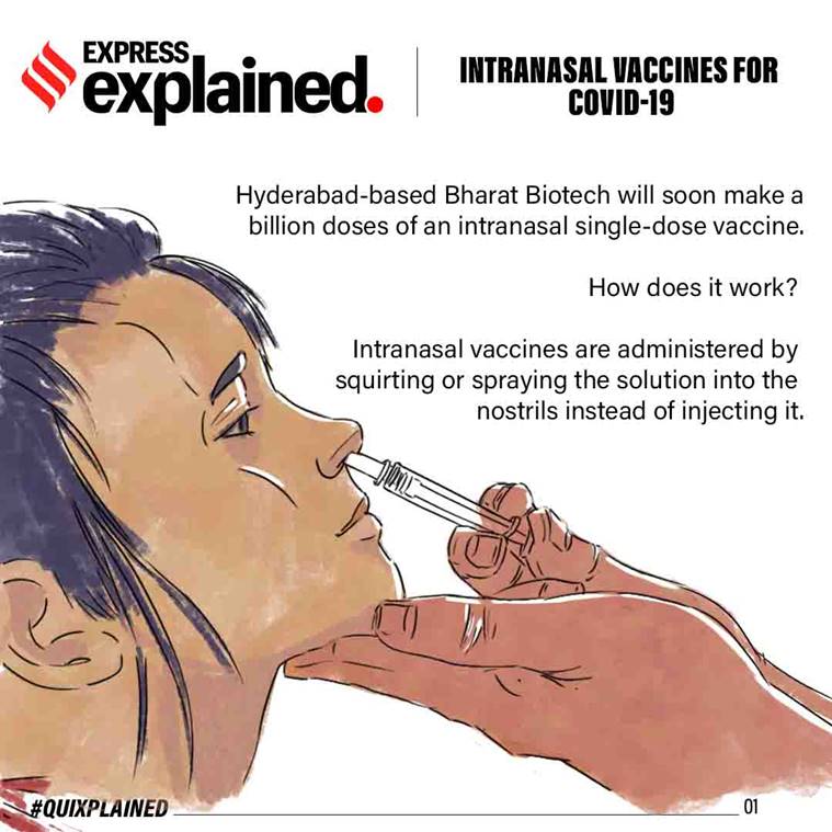 What Is Intranasal Vaccine For Covid