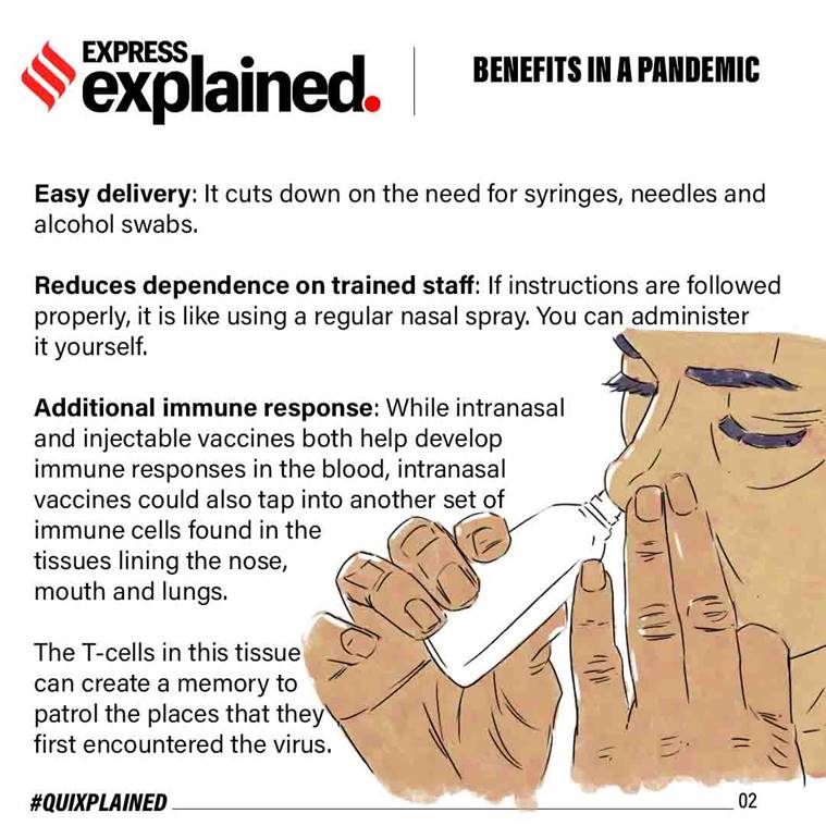 what-is-intranasal-vaccine-for-covid-19