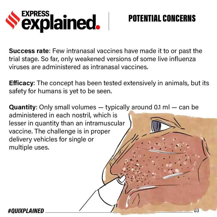 What Is Intranasal Vaccine For Covid-19?