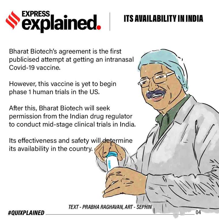 intranasal vaccine, what is intranasal vaccine, intranasal vaccine india, what are nasal vaccines, bharat biotech, how does nasal vaccine work, coronavirus vaccine, indian covid 19 vaccine, indian express