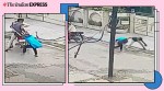 punjab, punjab girl fights phone snatcher, phone snatcher viral video, mobile snatcher bike viral video, brave girl, trending, indian express, indian express news