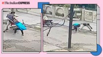 Watch: 15-year-old girl fights phone snatchers armed with sharp weapon in Punjab